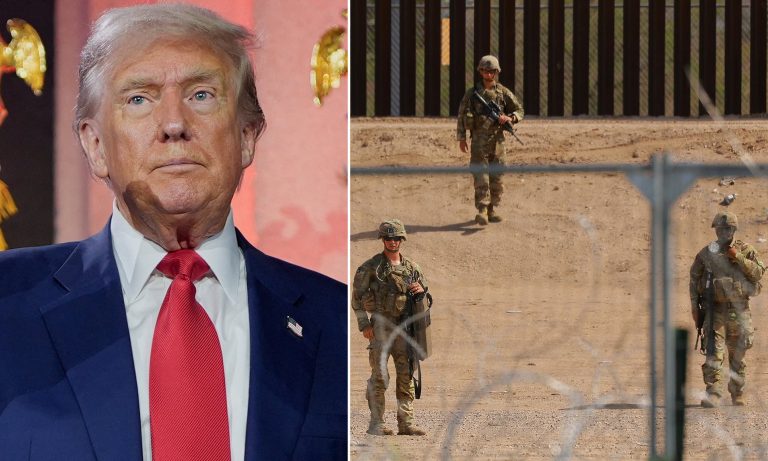 Appeals Court Rules Birthright Citizenship Effort Unlawful